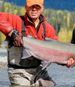 Steelhead Valhalla Lodge