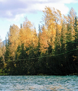 Steelhead Valhalla Lodge