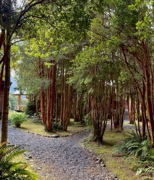 Martin Pescador Lodge