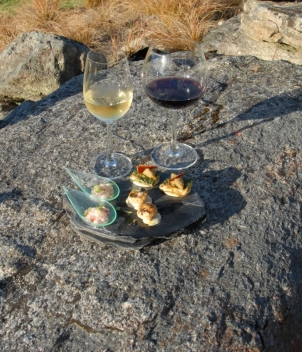 Fiordland Lodge