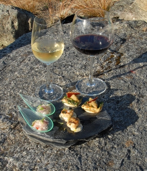 Fiordland Lodge