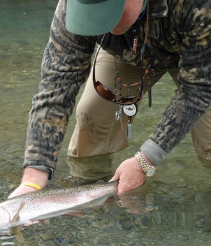 Fiordland Lodge