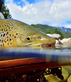 Owen River Lodge