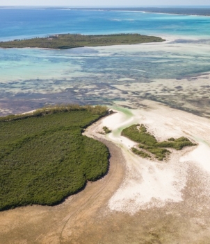 Abaco Lodge