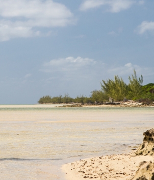 Abaco Lodge