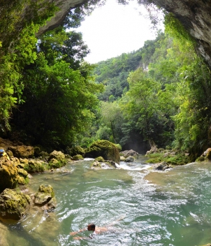 Copal Tree Lodge