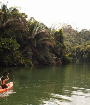 Copal Tree Lodge