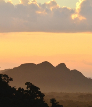 Copal Tree Lodge