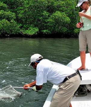 Belize River Lodge
