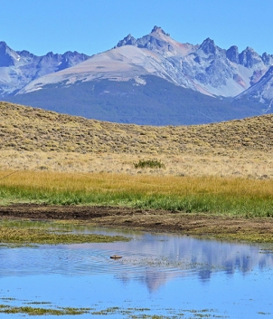 Argentina Waters & Estancia Tecka, Nov/Dec 2026