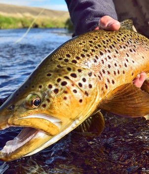 Argentina Waters & Estancia Tecka, Nov/Dec 2026