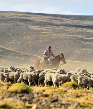 Estancia Tecka, March 2027