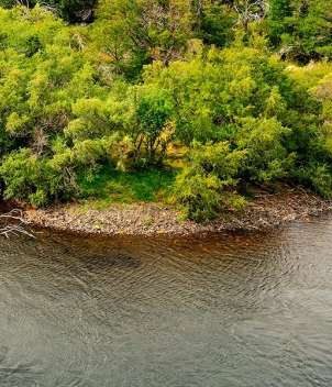 Hosteria San Huberto & Limay River Lodge, Feb-Mar 2027