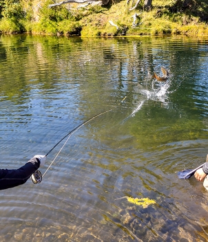 Hosteria San Huberto & Limay River Lodge, Feb-Mar 2027