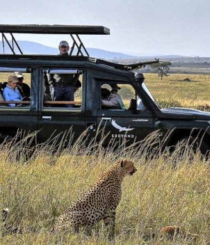 Photographic Safari in East Africa, July 2022